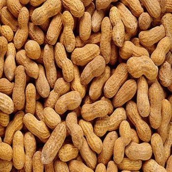 Peanuts