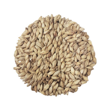 Barley Animals feed